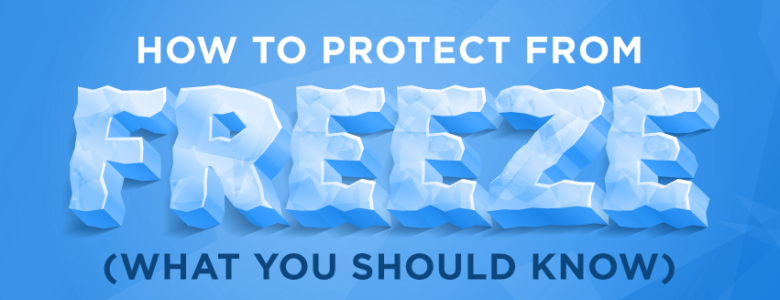 Protect Your Shipments from Freeze