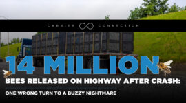 14 million bees