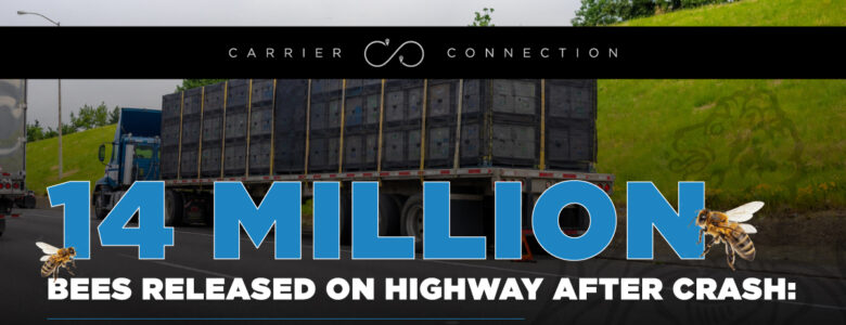 14 million bees