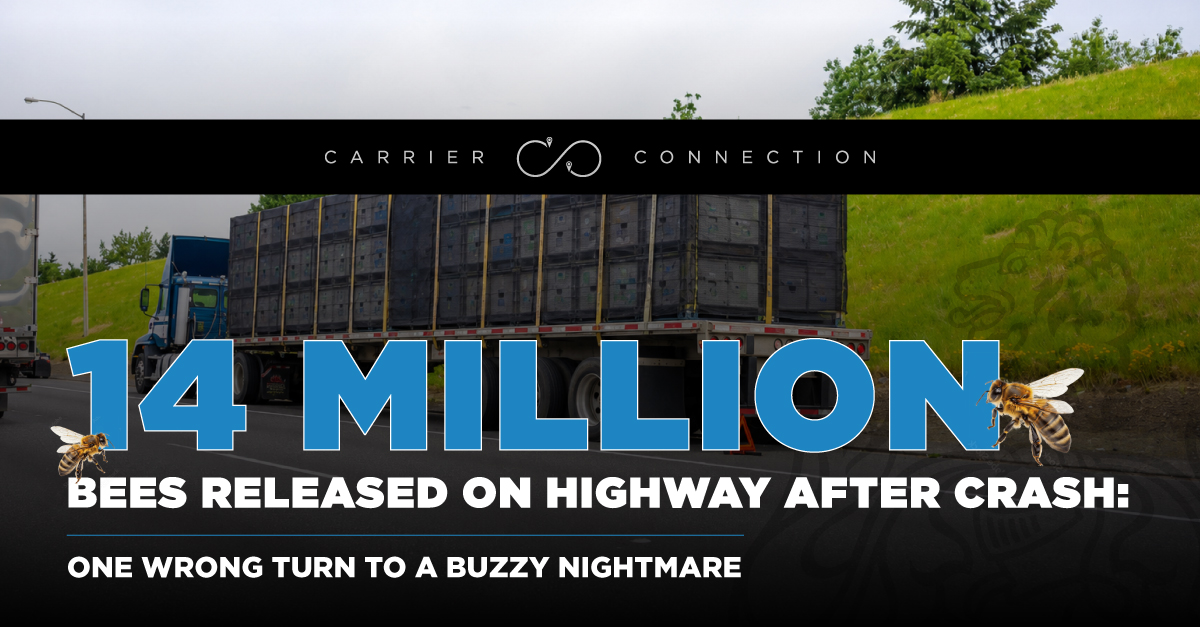 14 million bees
